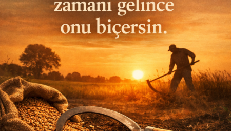 Ne Ekersen Onu Biçersin